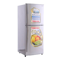  Tủ lạnh Toshiba GR-S19VPP(DS) 170 lít