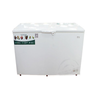 Tủ đông 300L lít Electrolux ECM-2900WA