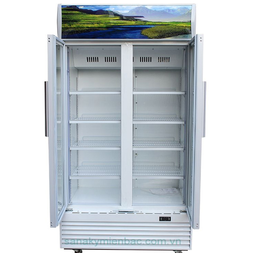 Tủ mát 2 cửa Sanaky VH-8009HPNK (800 lít)