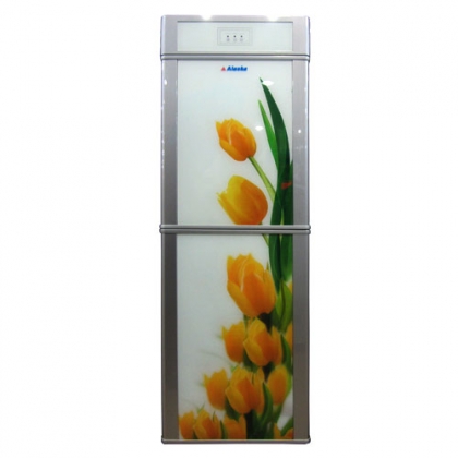 Máy nước uống nóng lạnh Alaska R90