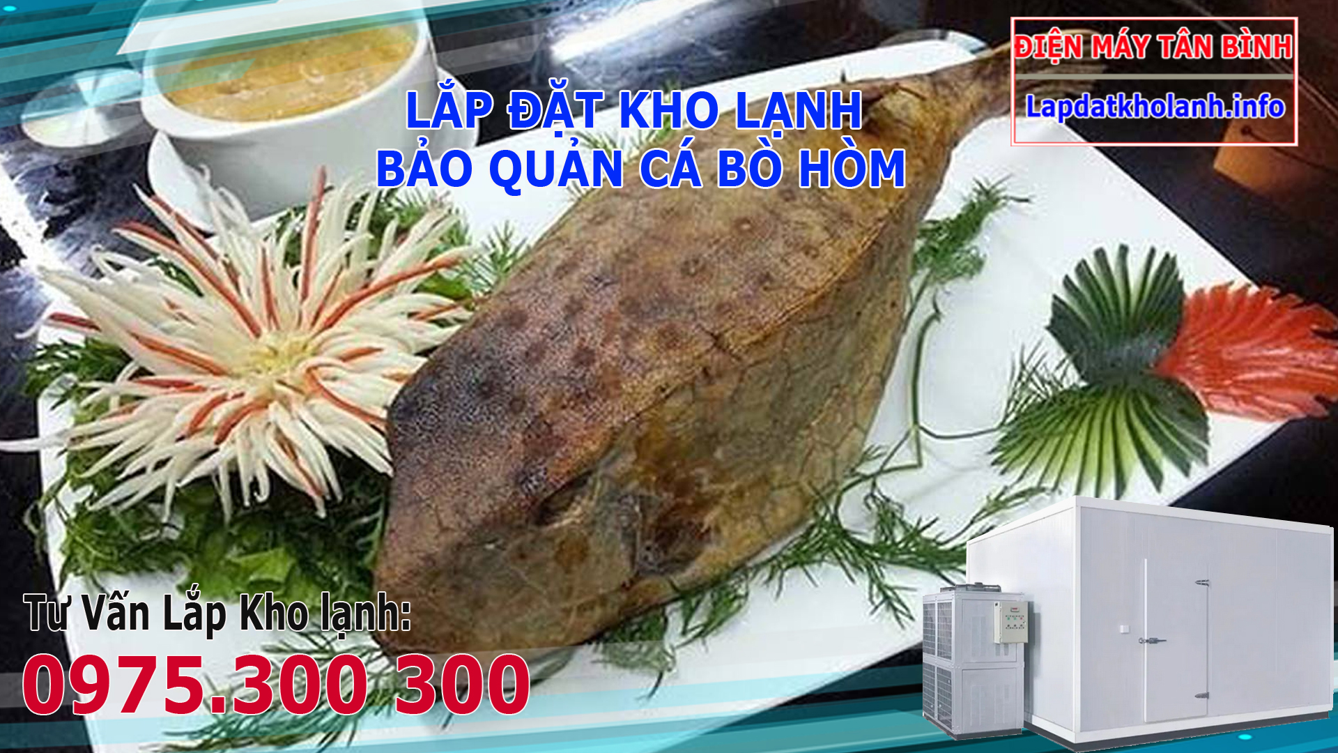 lắp đặt kho đông lạnh bảo quản cá bò hòm