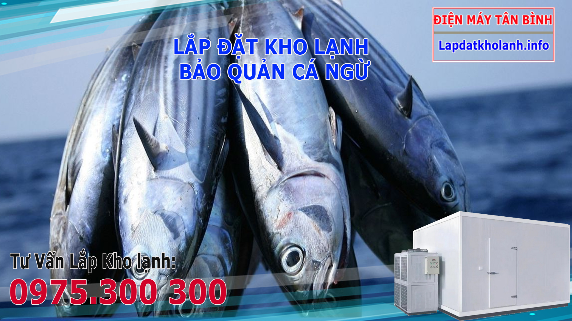 bảo quản cá ngừ trong kho lạnh