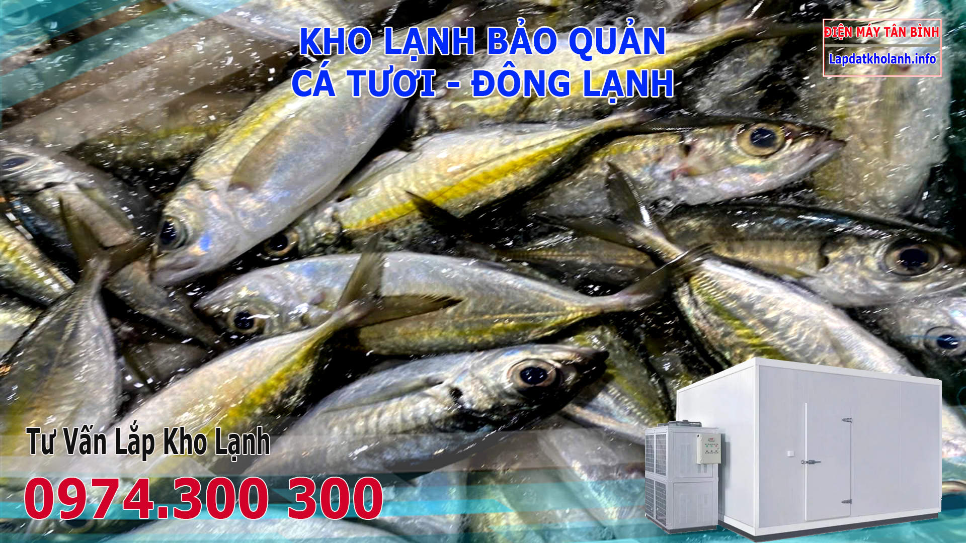 Lắp đặt kho lạnh bảo quản Cá Bạc Má tươi và Đông Lạnh