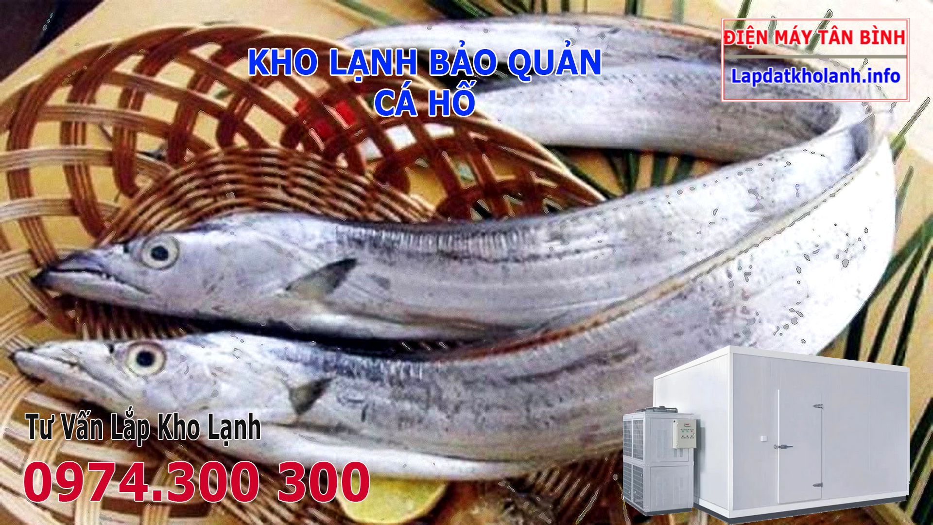 Lắp đặt kho lạnh bảo quản Cá Hố tươi và Đông Lạnh
