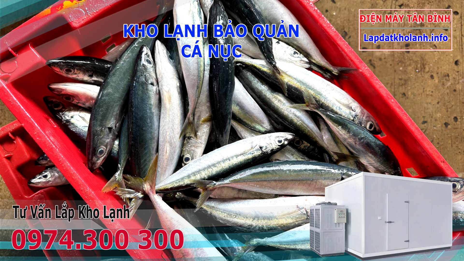 kho lạnh bảo quản cá nục tươi đông lạnh