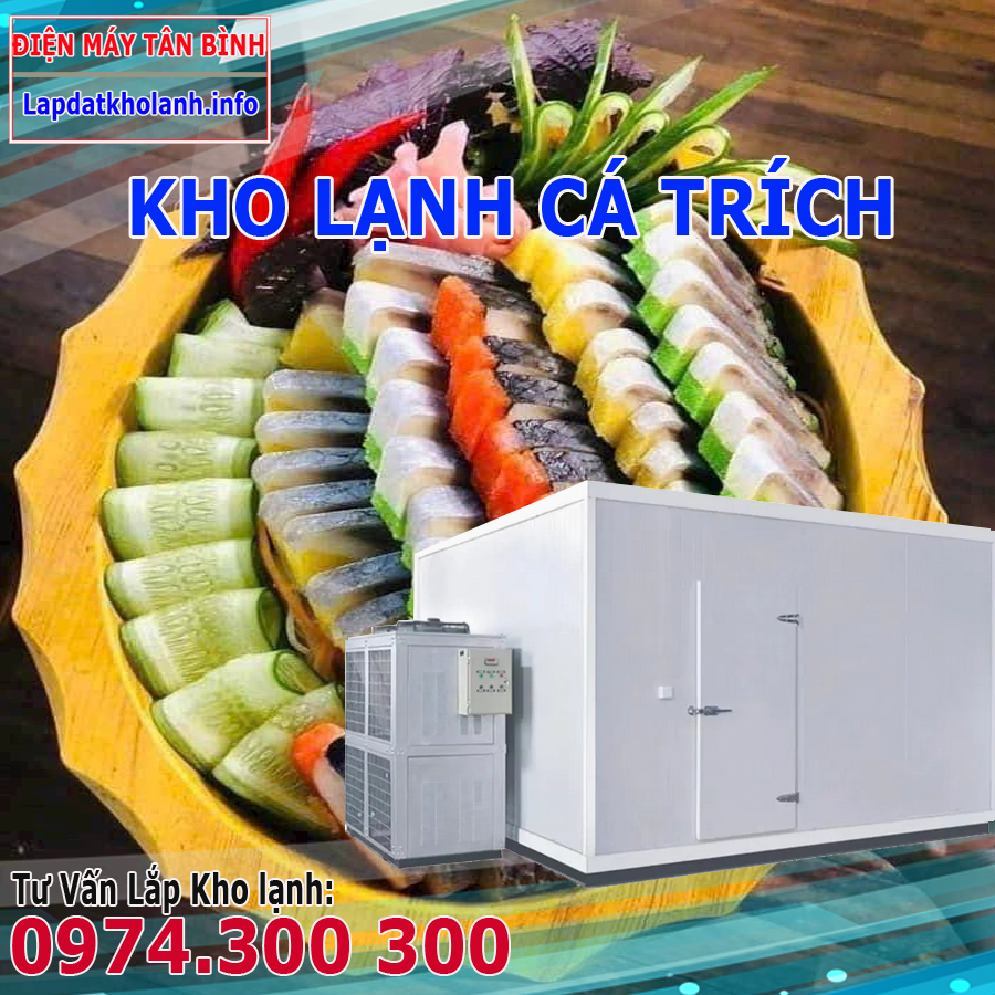 Lắp đặt kho lạnh bảo quản Cá Trích Ép Trứng tươi Đông Lạnh