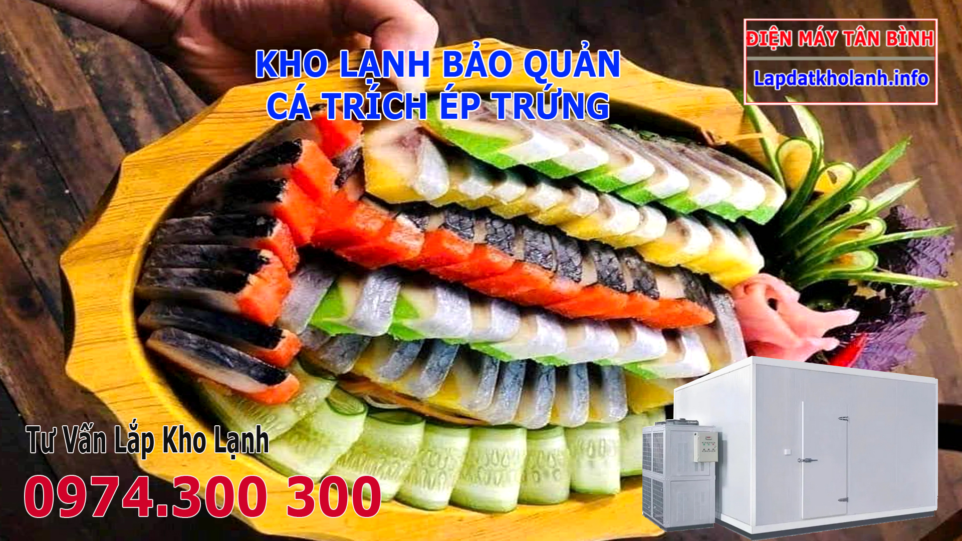Lắp đặt kho lạnh bảo quản Cá Trích Ép Trứng tươi Đông Lạnh