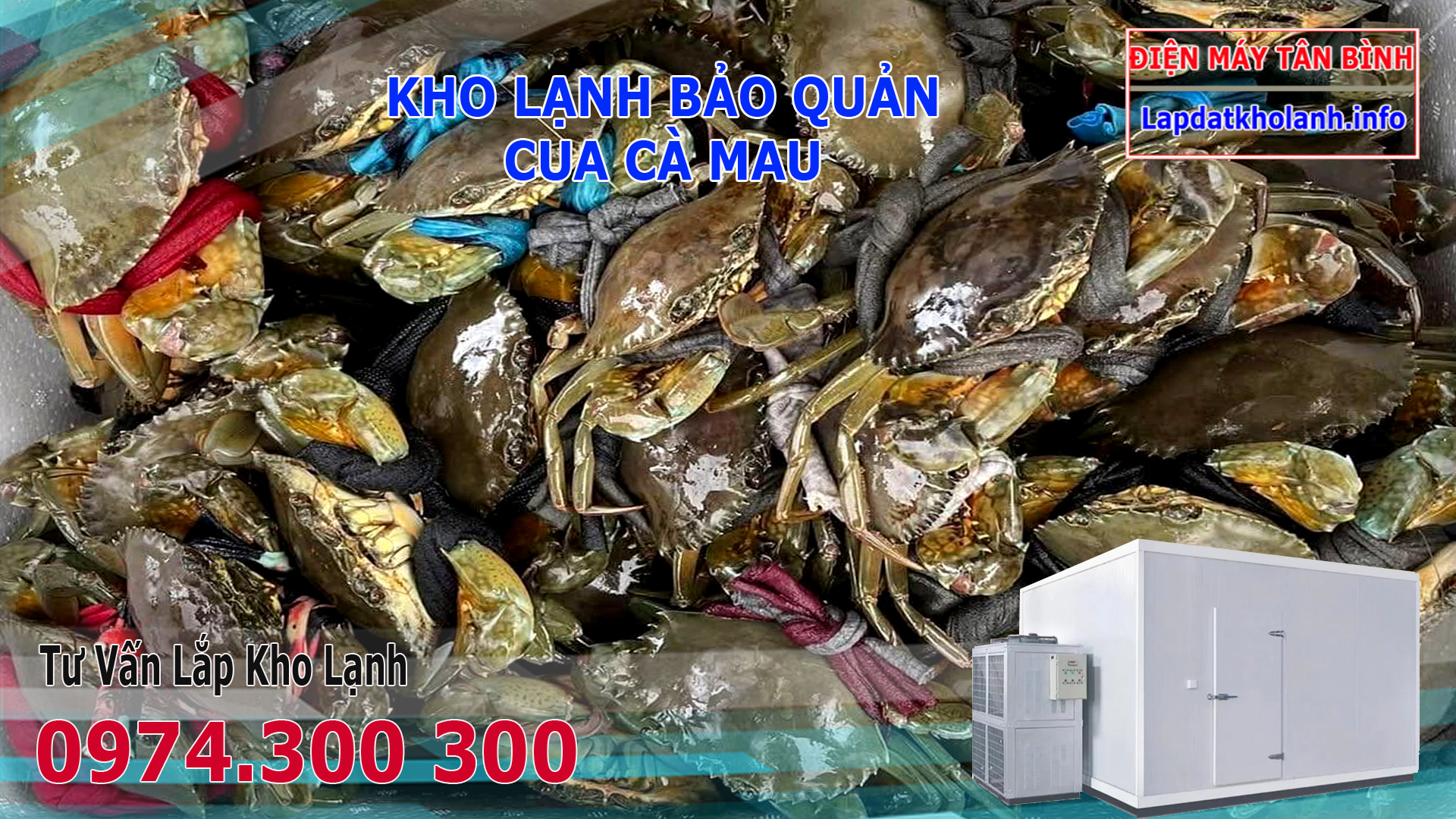 Lắp đặt kho lạnh bảo quản Cua Cà Mau tươi và Đông Lạnh