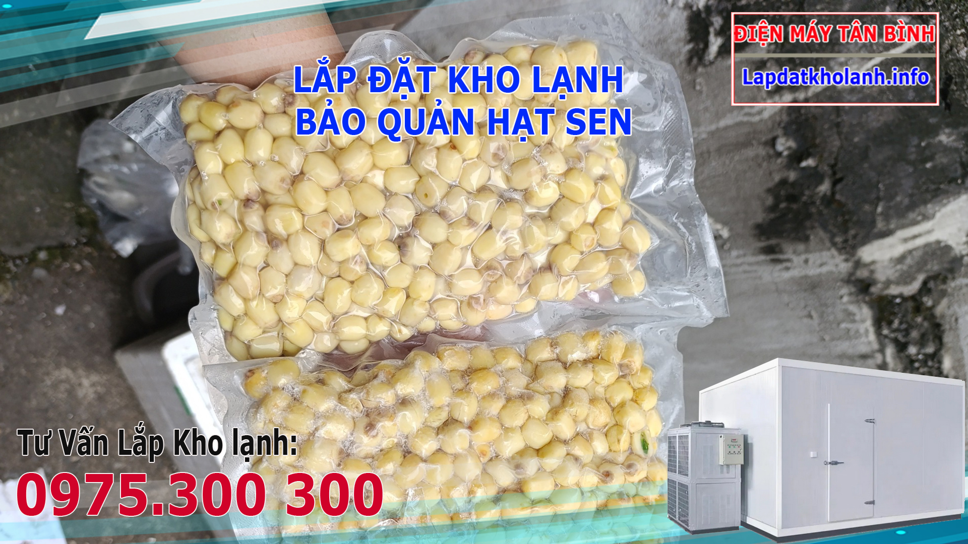 lắp đặt kho lạnh bảo quản hạt sen