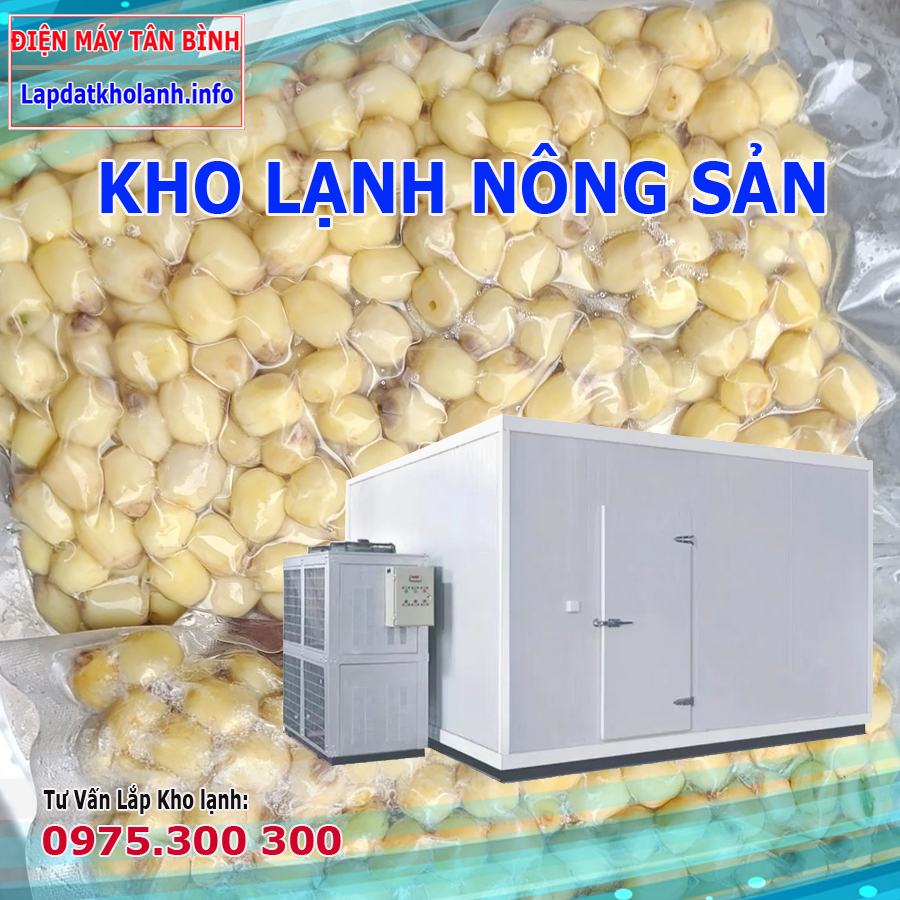kho lạnh bảo quản hạt sen