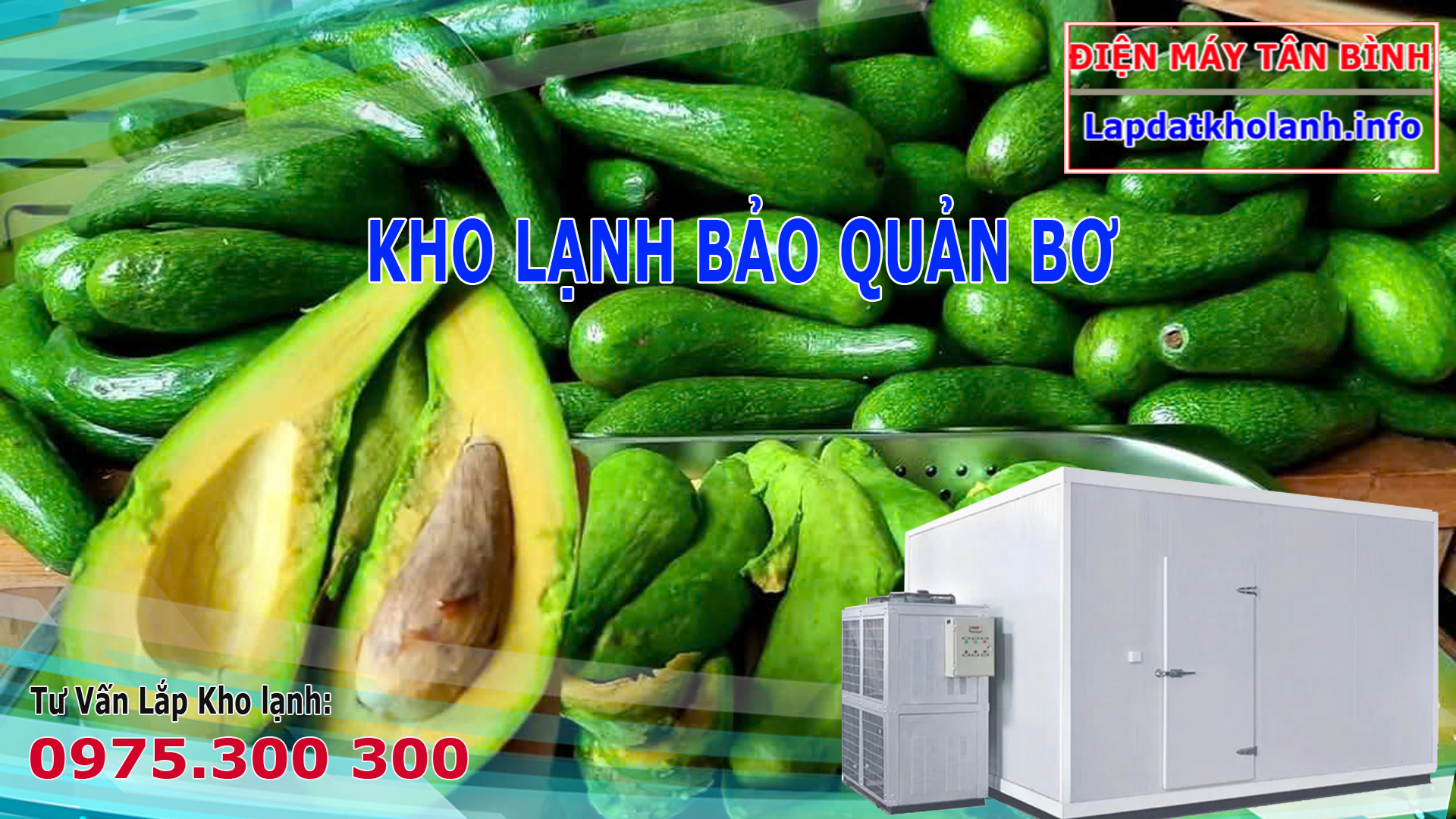 kho lạnh bảo quản bơ