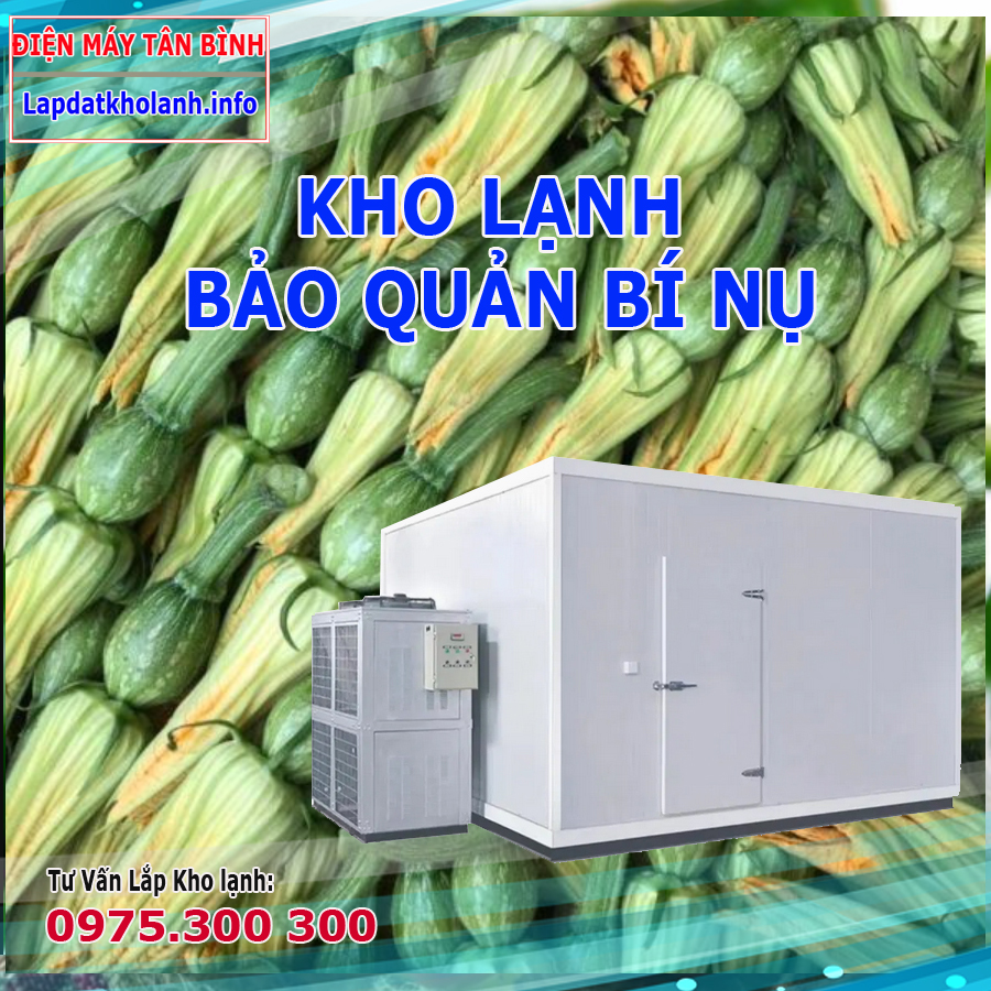 Lắp đặt kho lạnh bảo quản bí nụ