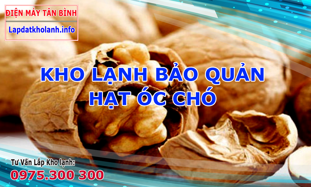 Lắp đặt kho lạnh bảo quản hạt óc chó