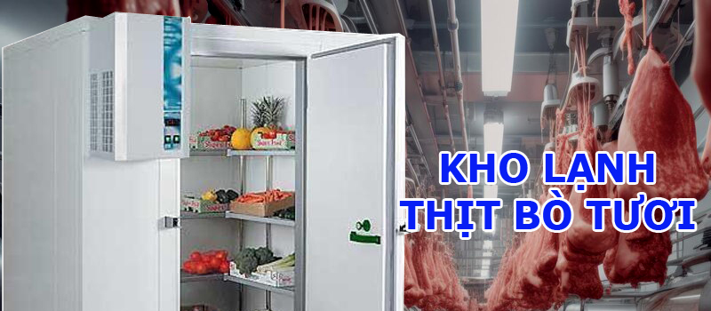 kho lạnh thịt bò tươi
