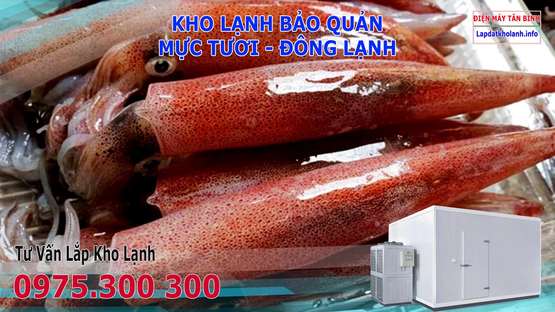 Lắp đặt kho lạnh bảo quản Mực tươi và Đông Lạnh