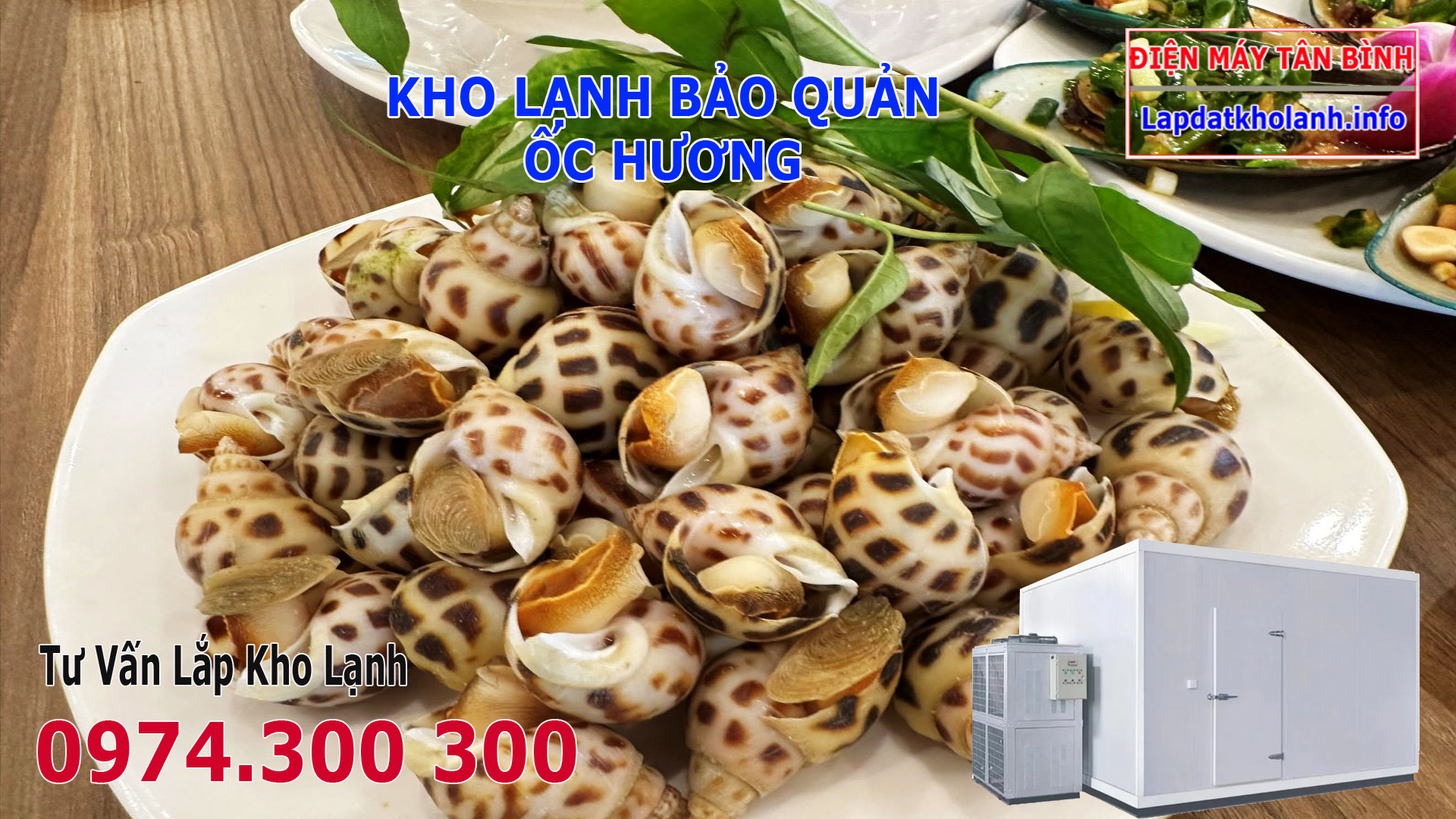 Lắp đặt kho lạnh bảo quản Ốc Hương tươi sống và Đông Lạnh