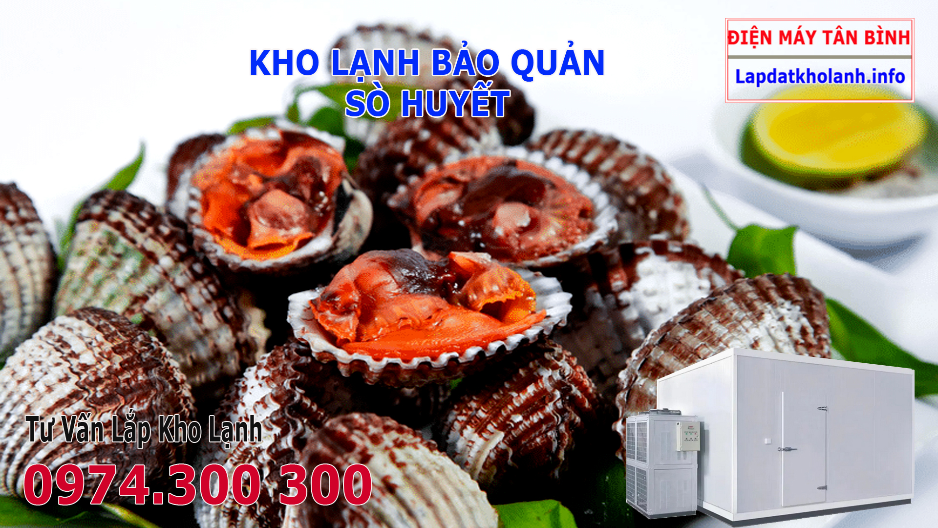 Lắp đặt kho lạnh bảo quản Sò Huyết tươi và Đông Lạnh