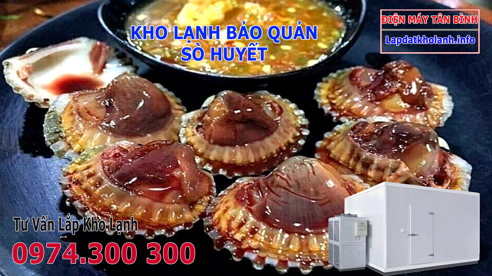 Lắp đặt kho lạnh bảo quản Sò Huyết tươi và Đông Lạnh