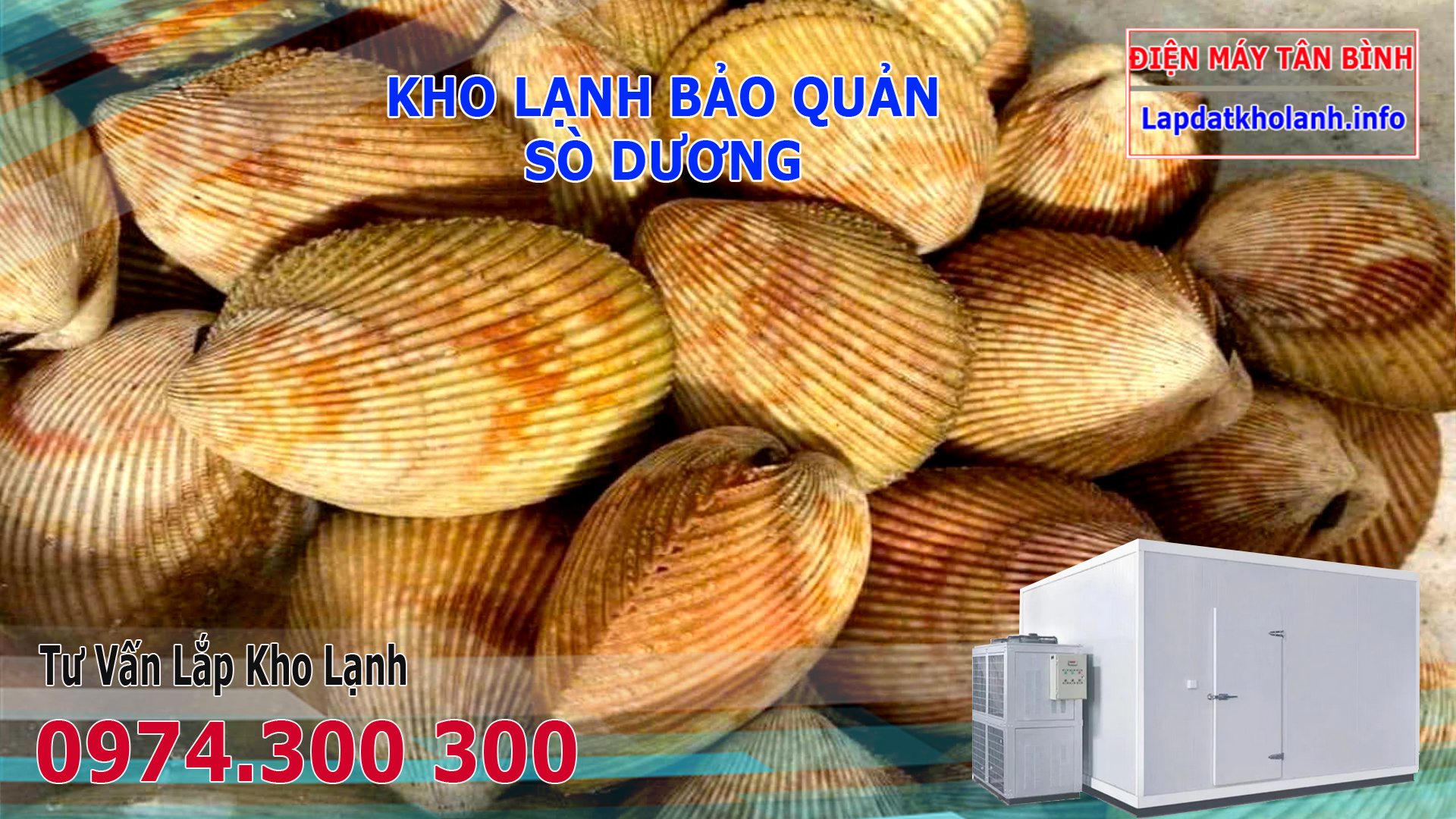 Lắp đặt kho lạnh bảo quản Sò Dương tươi sống và Đông lạnh