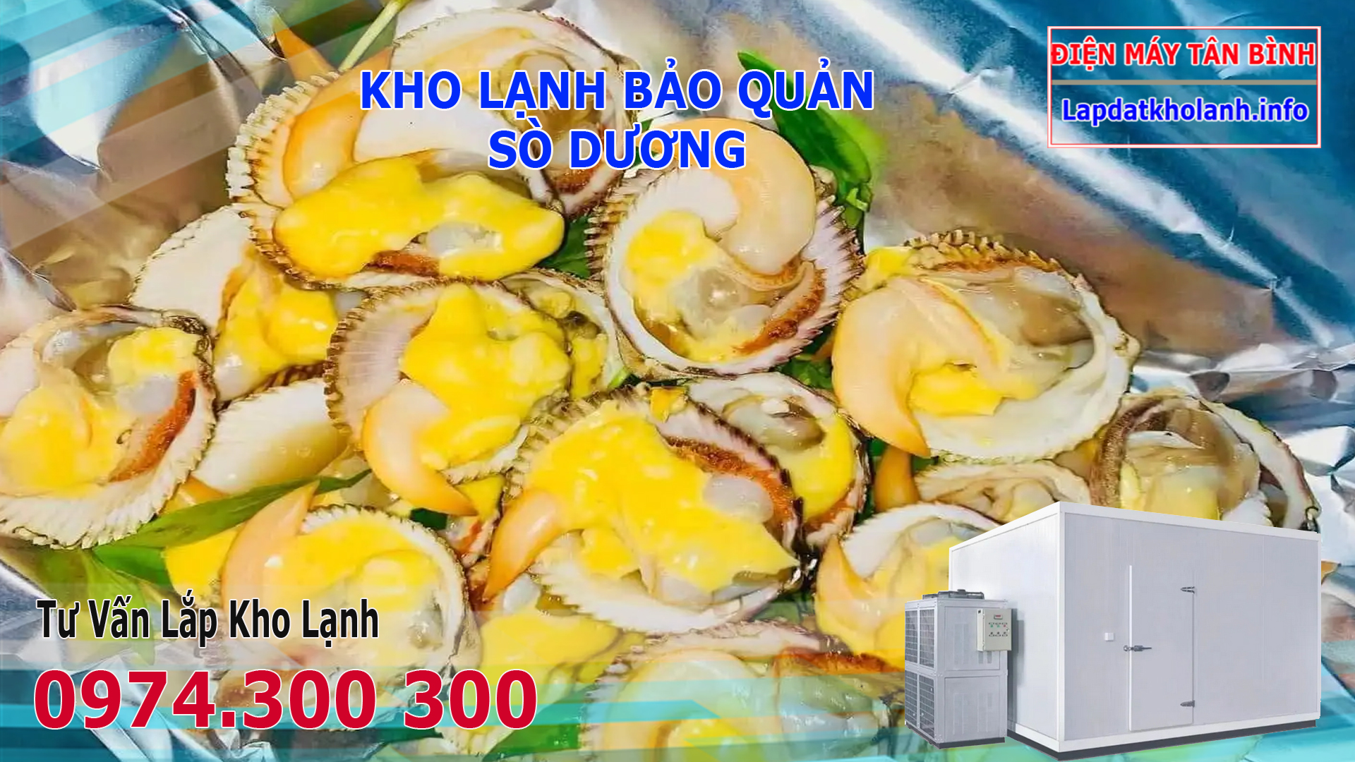 Lắp đặt kho lạnh bảo quản Sò Dương tươi sống và Đông lạnh
