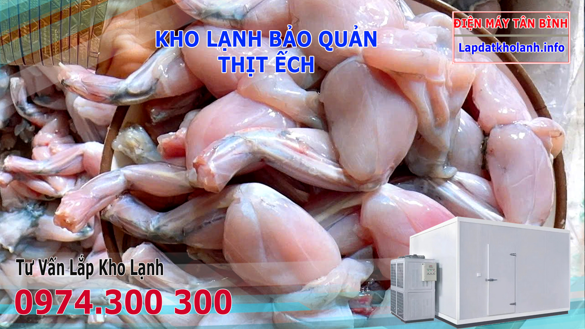 lắp đặt kho lạnh bảo quản thịt ếch