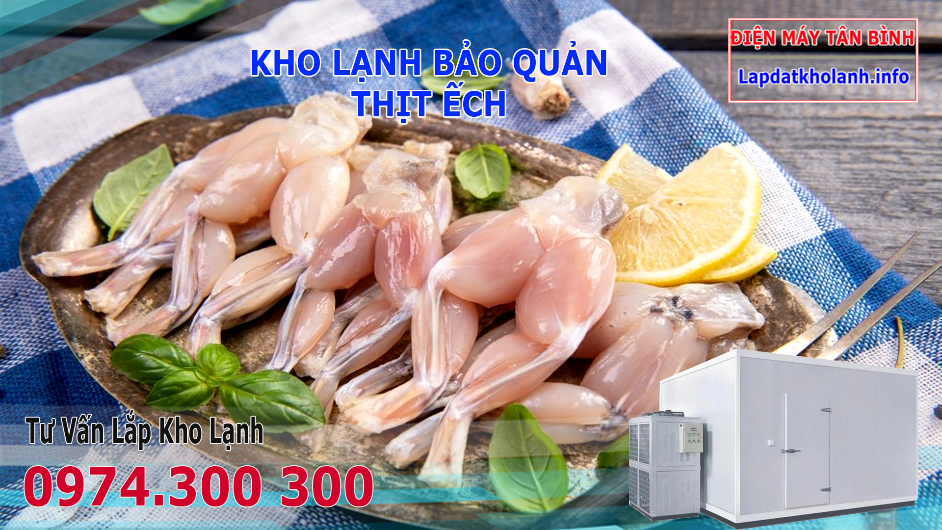 lắp đặt kho lạnh bảo quản thịt ếch