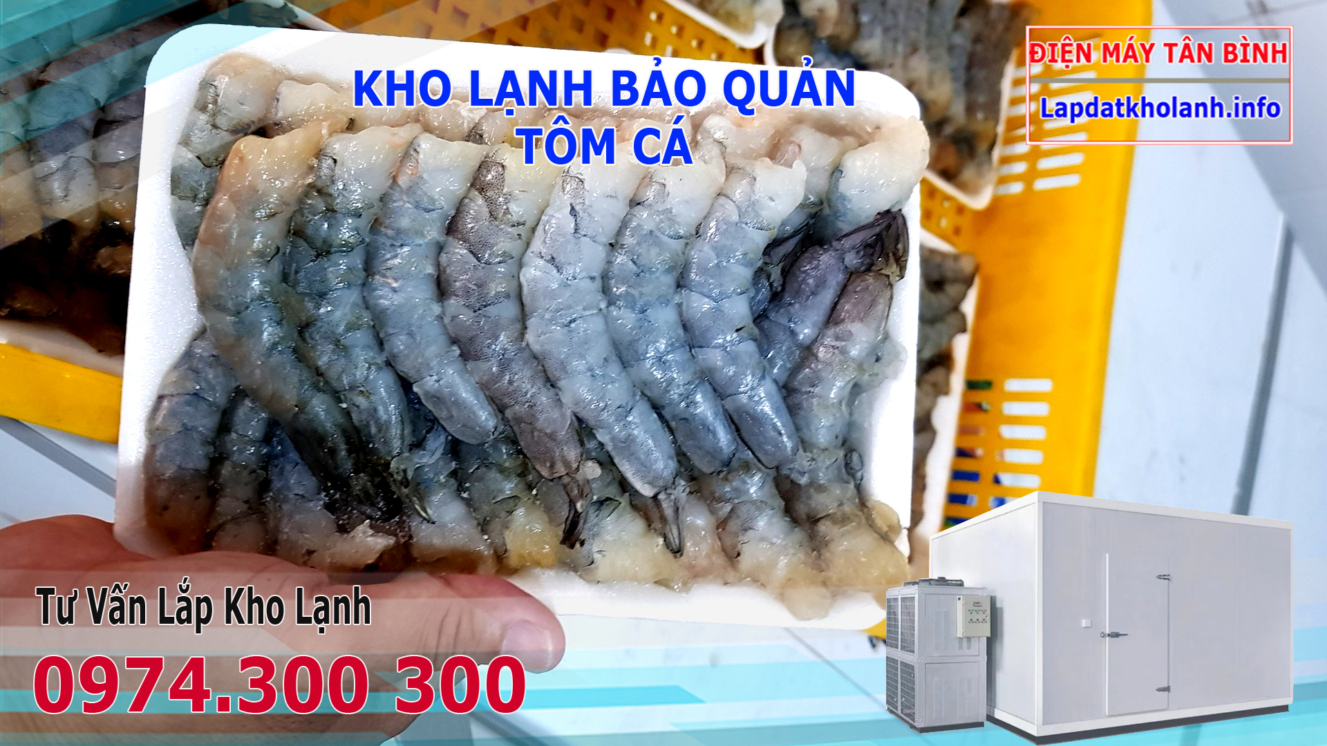 kho lạnh bảo quản tôm cá tươi sống đông lạnh