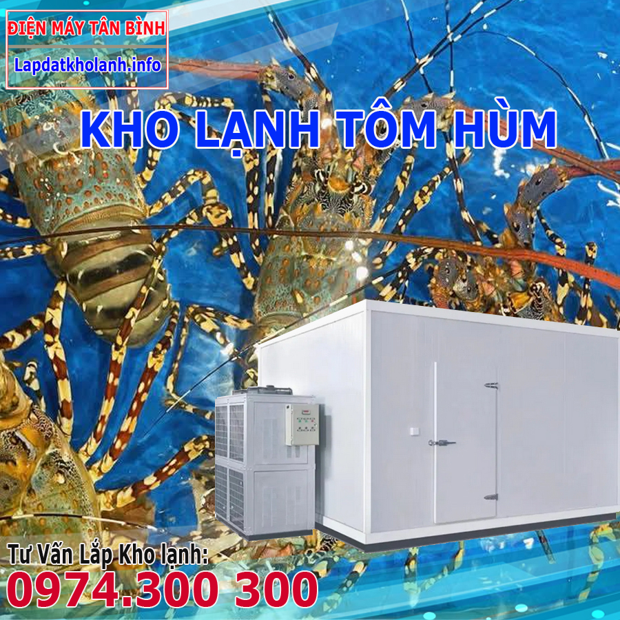 Lắp đặt kho lạnh bảo quản Tôm Hùm Bông tươi sống và Đông Lạnh