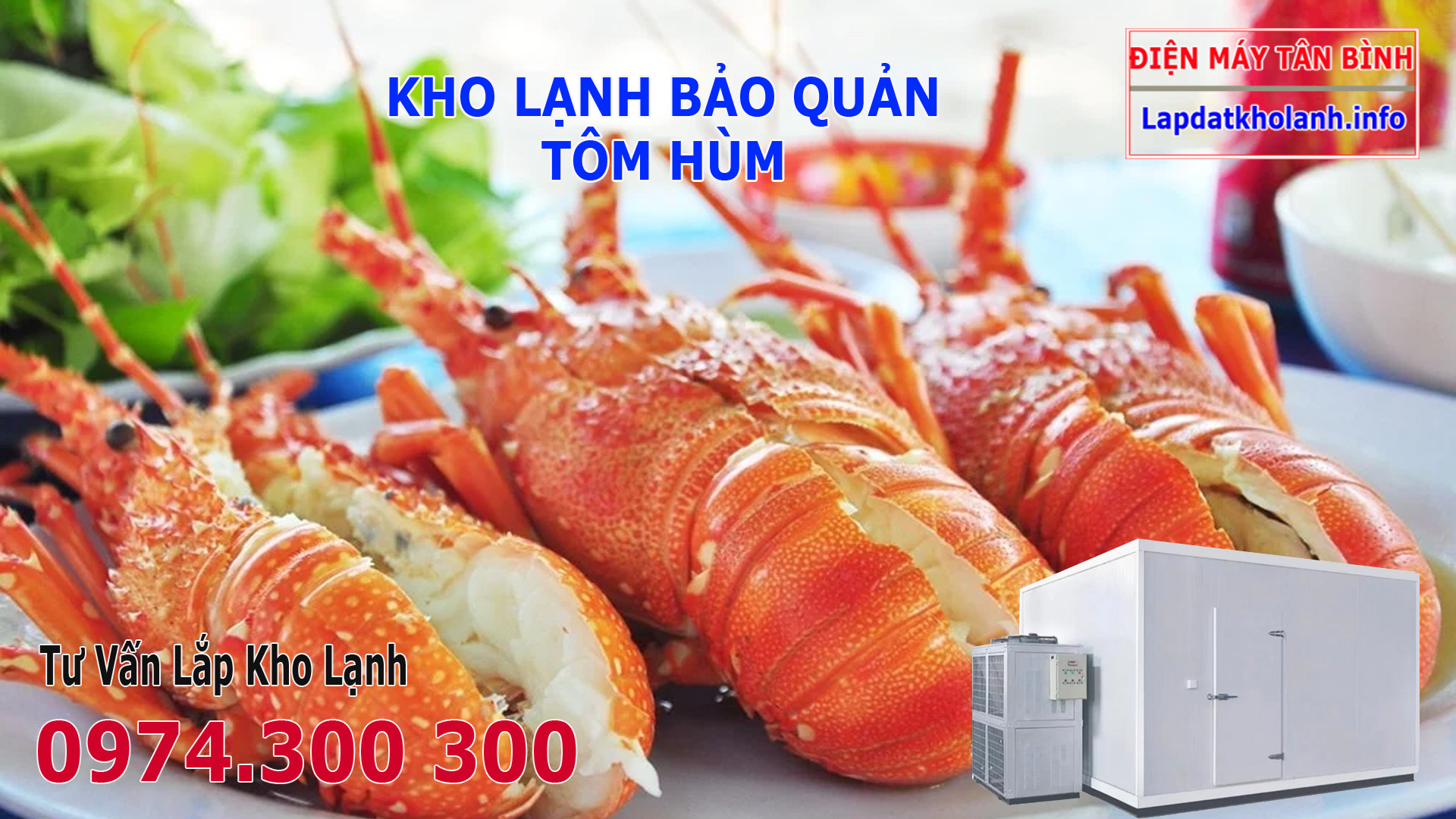 Lắp đặt kho lạnh bảo quản Tôm Hùm Bông tươi sống và Đông Lạnh