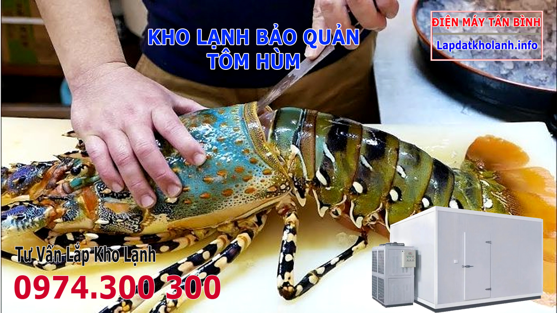 Lắp đặt kho lạnh bảo quản Tôm Hùm Bông tươi sống và Đông Lạnh