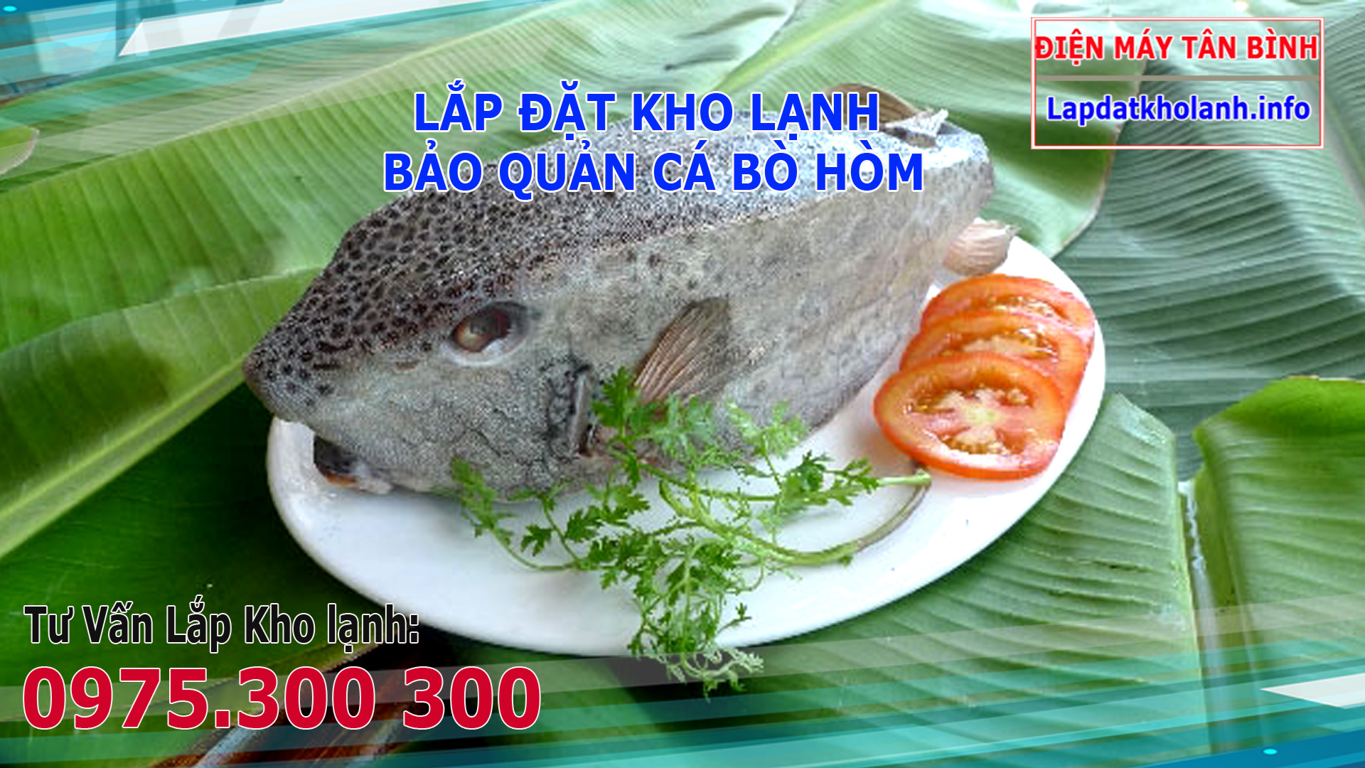 Cá bò hòm có độc không, Cách làm chế biến cá Bò Hòm