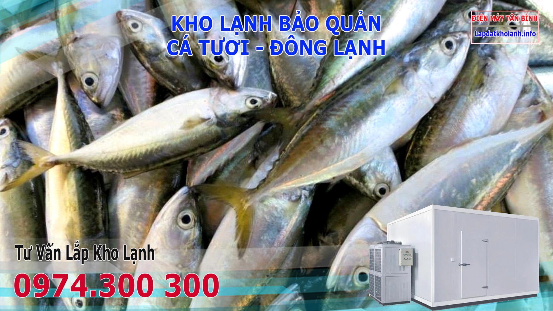Lắp đặt kho lạnh bảo quản Cá Bạc Má tươi và Đông Lạnh
