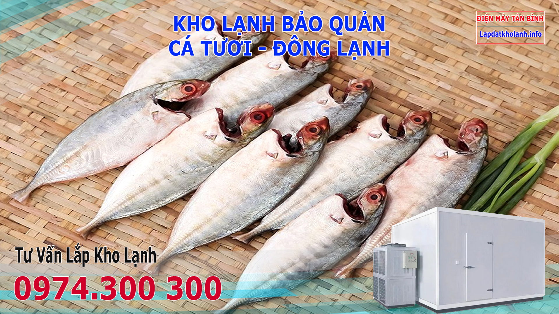 Lắp đặt kho lạnh bảo quản Cá Bạc Má tươi và Đông Lạnh