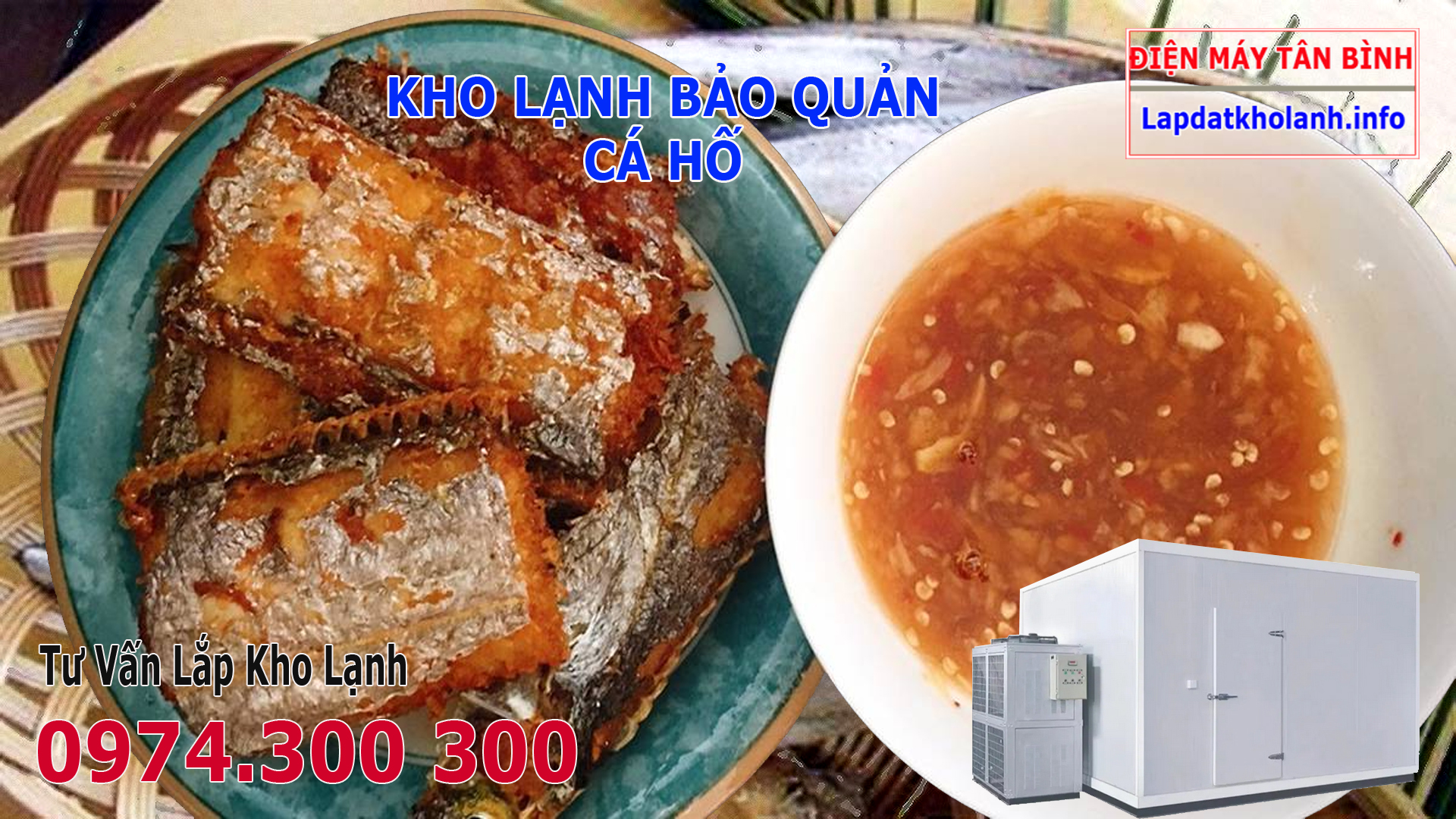 Lắp đặt kho lạnh bảo quản Cá Hố tươi và Đông Lạnh