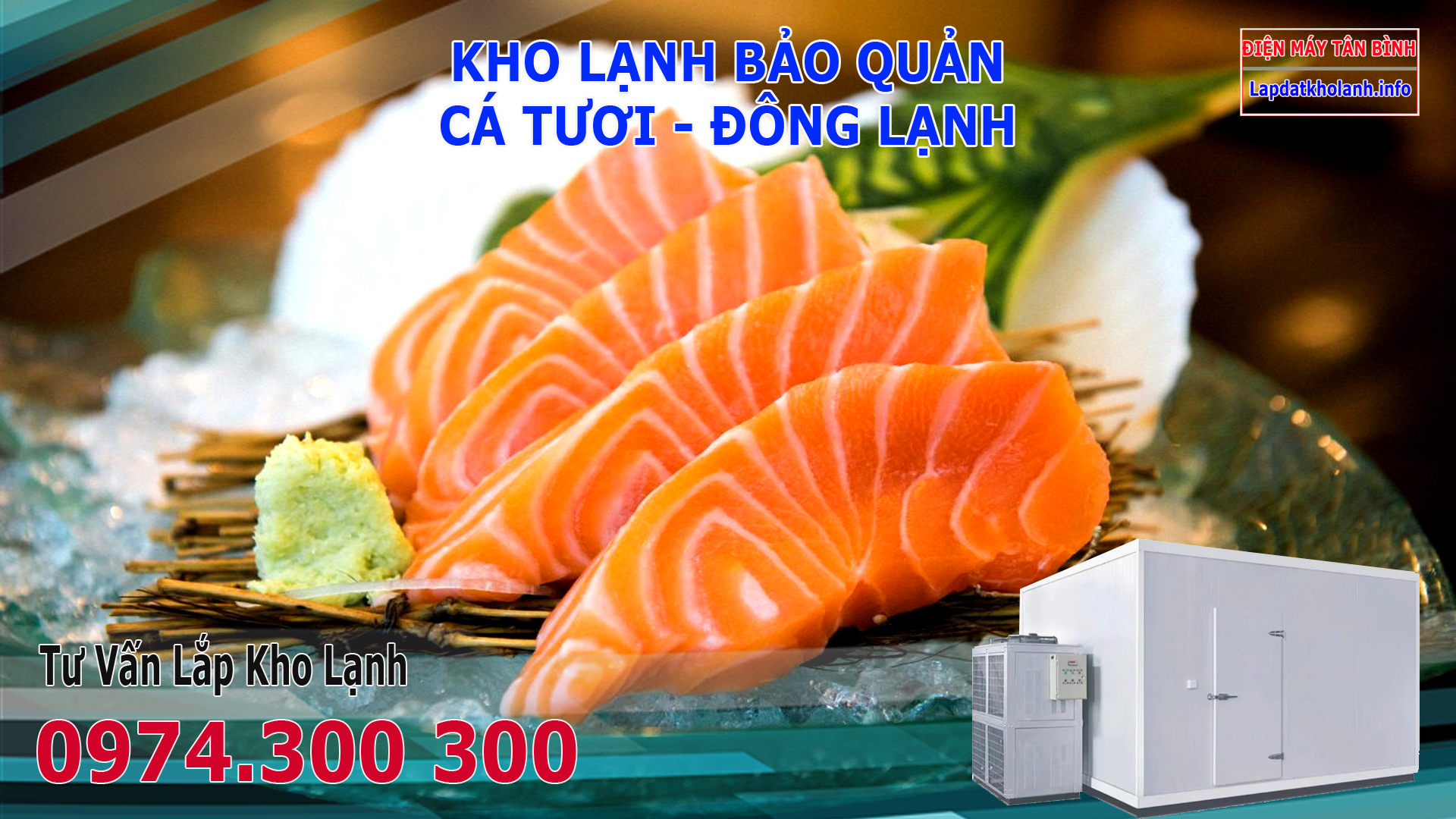 Lắp đặt kho lạnh bảo quản Cá Hồi Đông Lạnh