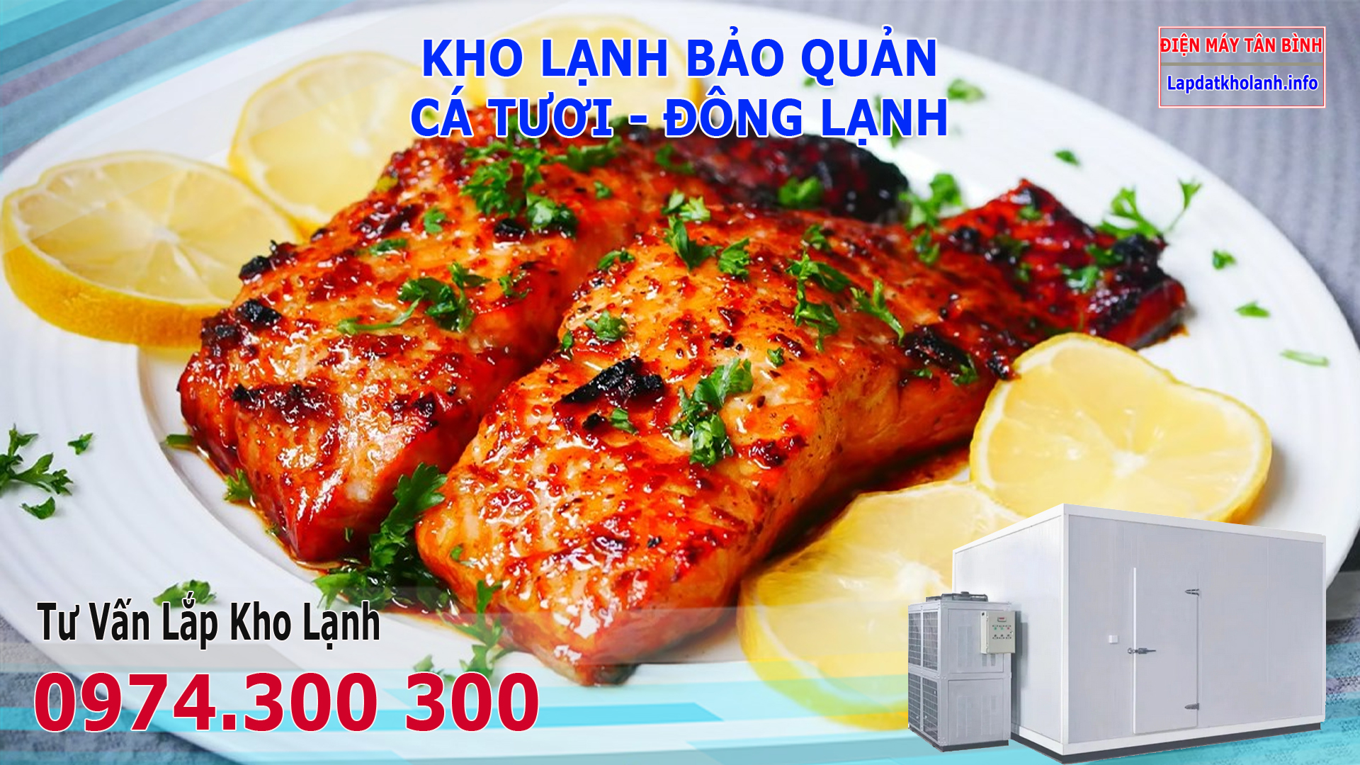 Lắp đặt kho lạnh bảo quản Cá Hồi Đông Lạnh