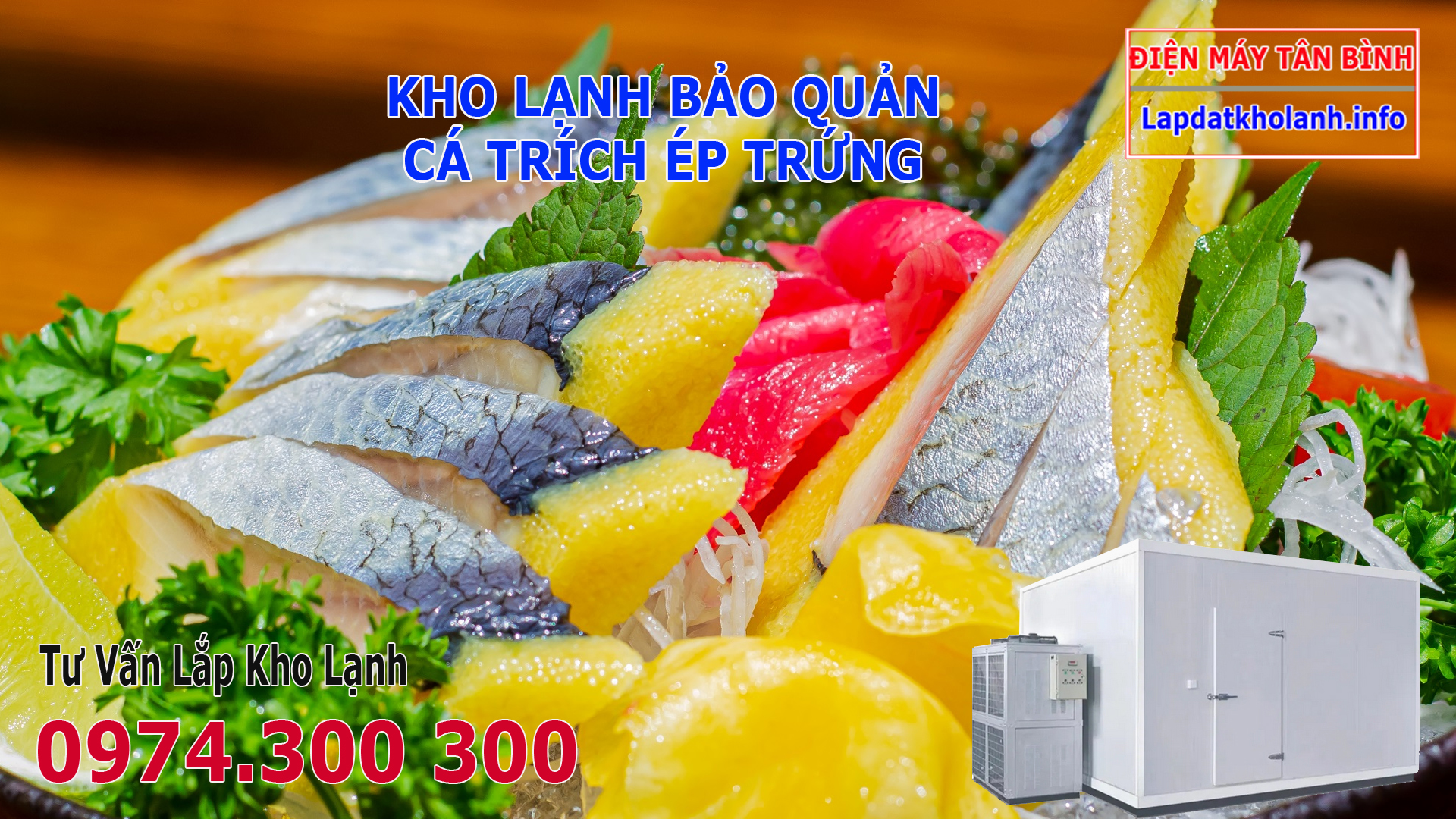 Lắp đặt kho lạnh bảo quản Cá Trích Ép Trứng tươi Đông Lạnh