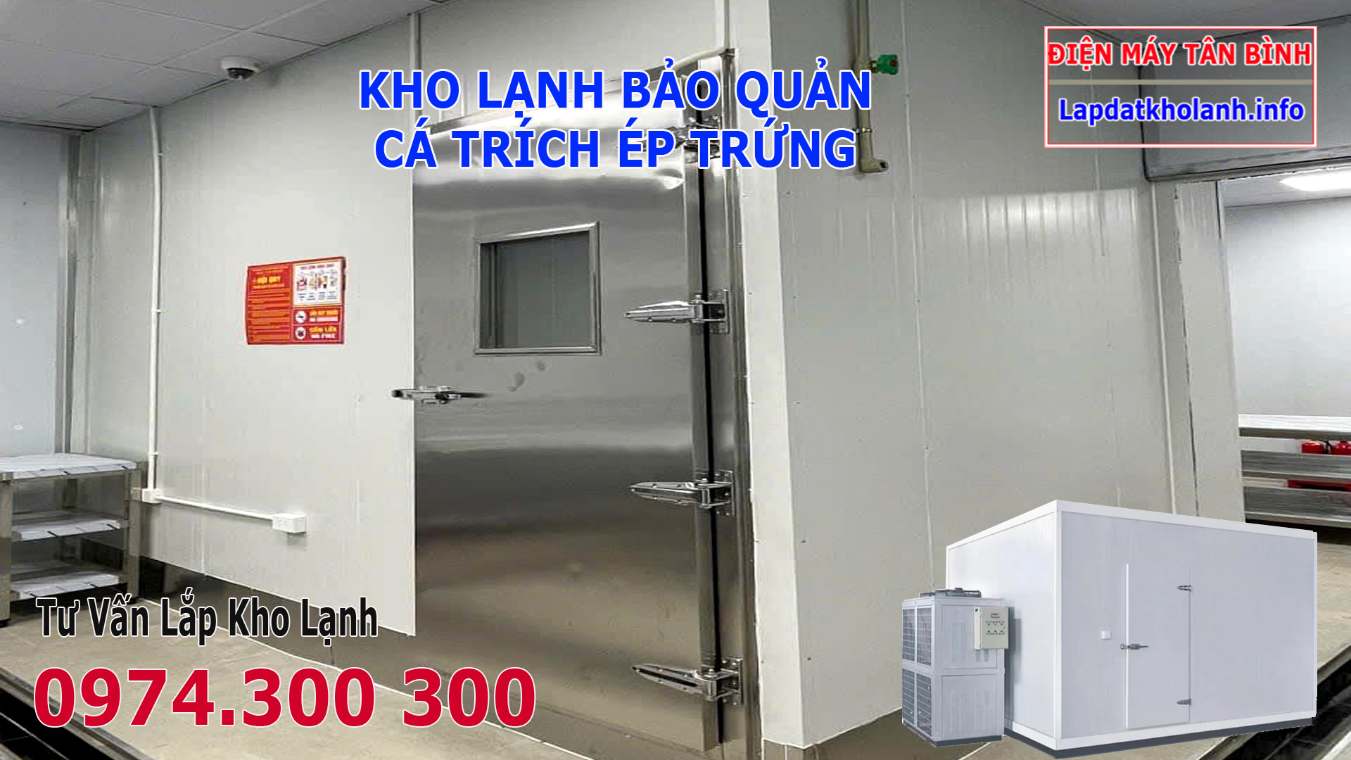 Lắp đặt kho lạnh bảo quản Cá Trích Ép Trứng tươi Đông Lạnh