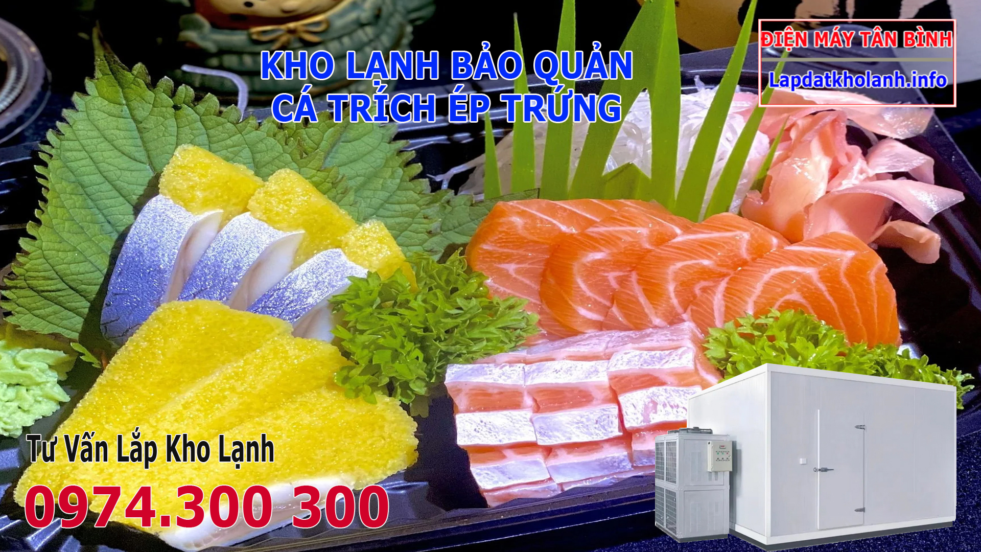 Lắp đặt kho lạnh bảo quản Cá Trích Ép Trứng tươi Đông Lạnh