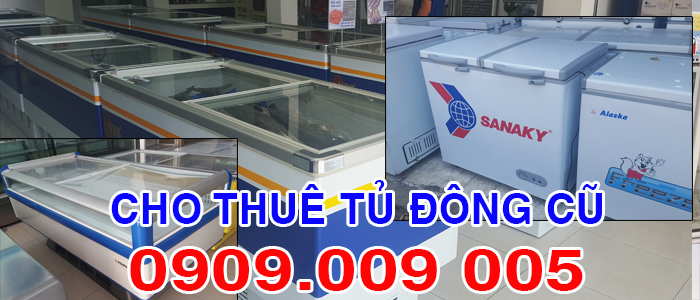 cHO THU&Ecirc; TỦ Đ&Ocirc;NG CŨ