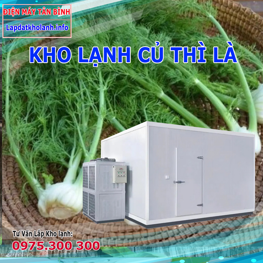 lắp đặt kho lạnh bảo quản củ thì là