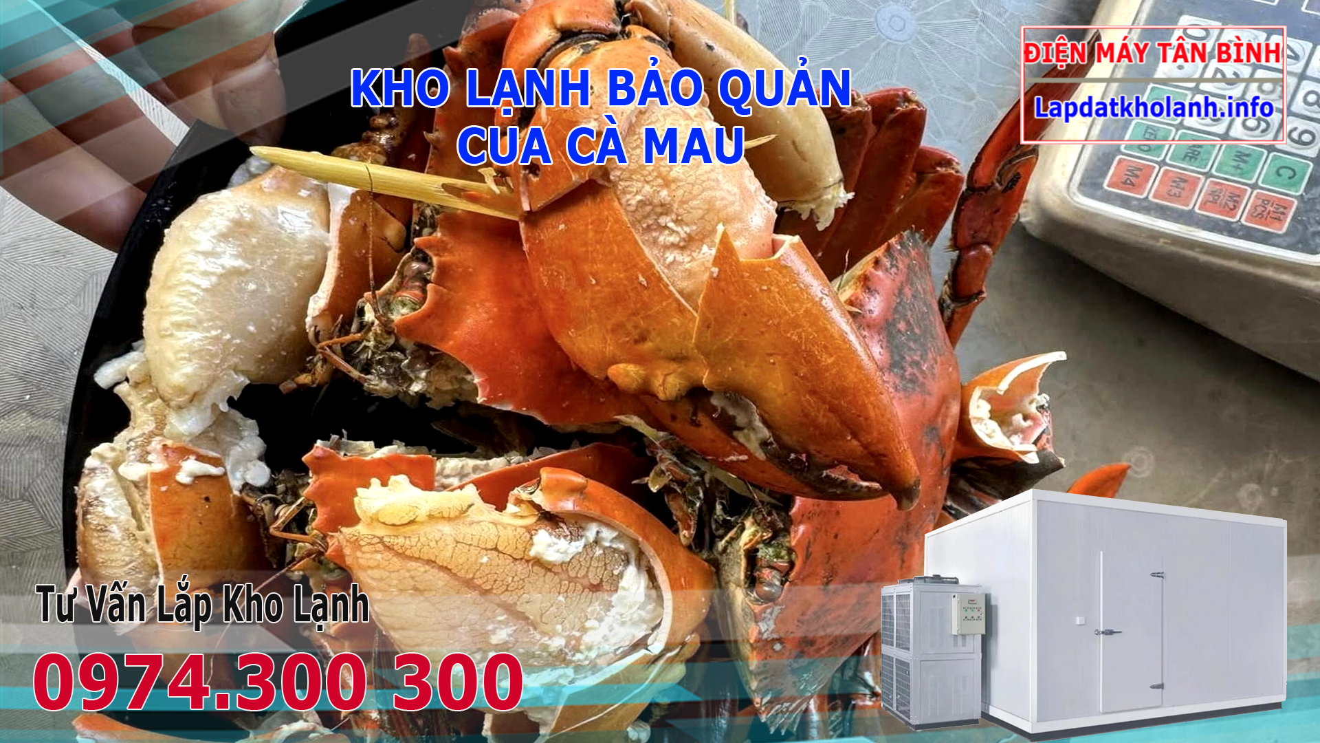 Lắp đặt kho lạnh bảo quản Cua Cà Mau tươi và Đông Lạnh