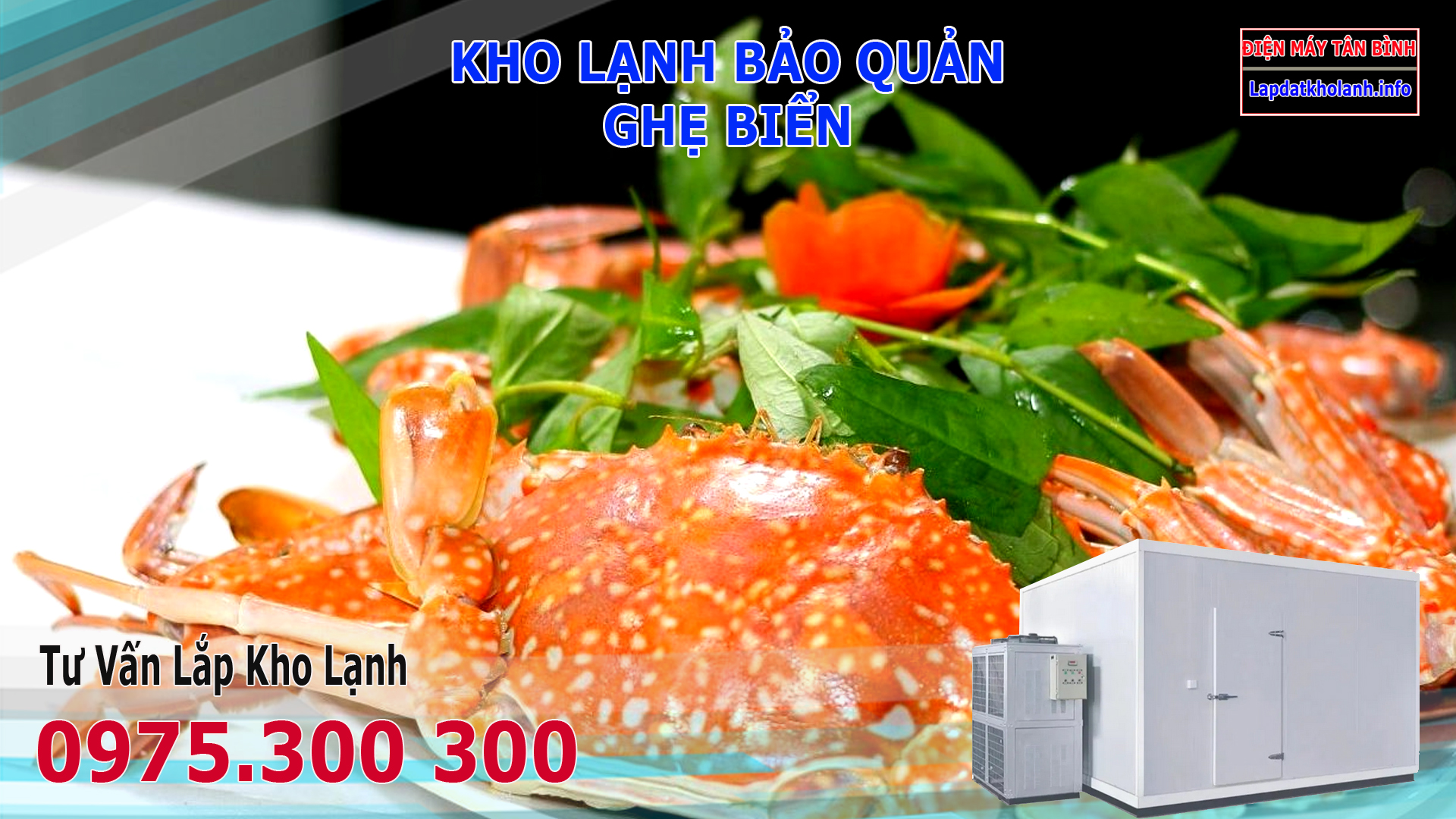 Lắp đặt kho lạnh bảo quản Ghẹ tươi sống và Đông Lạnh
