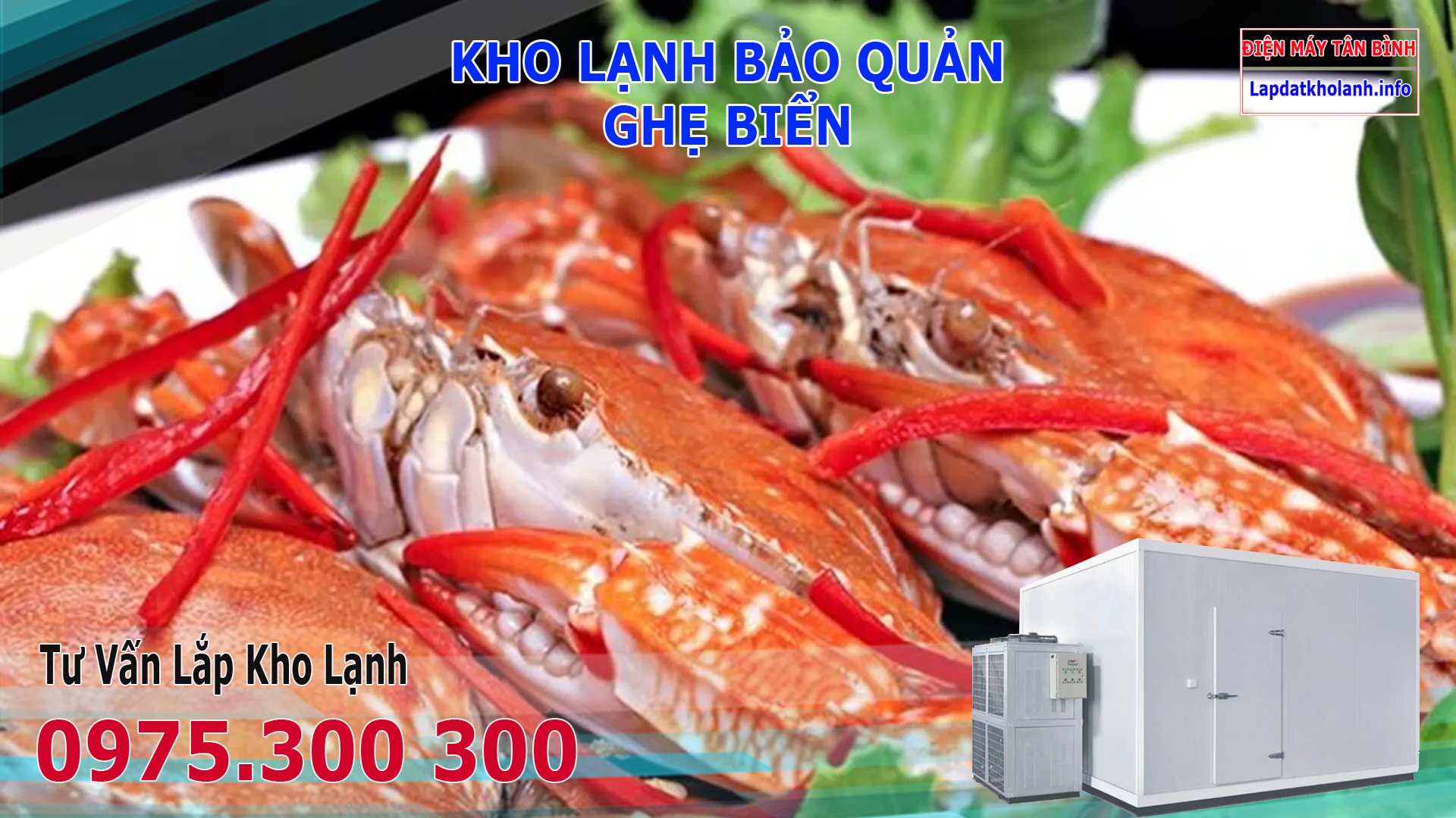 Lắp đặt kho lạnh bảo quản Ghẹ tươi sống và Đông Lạnh
