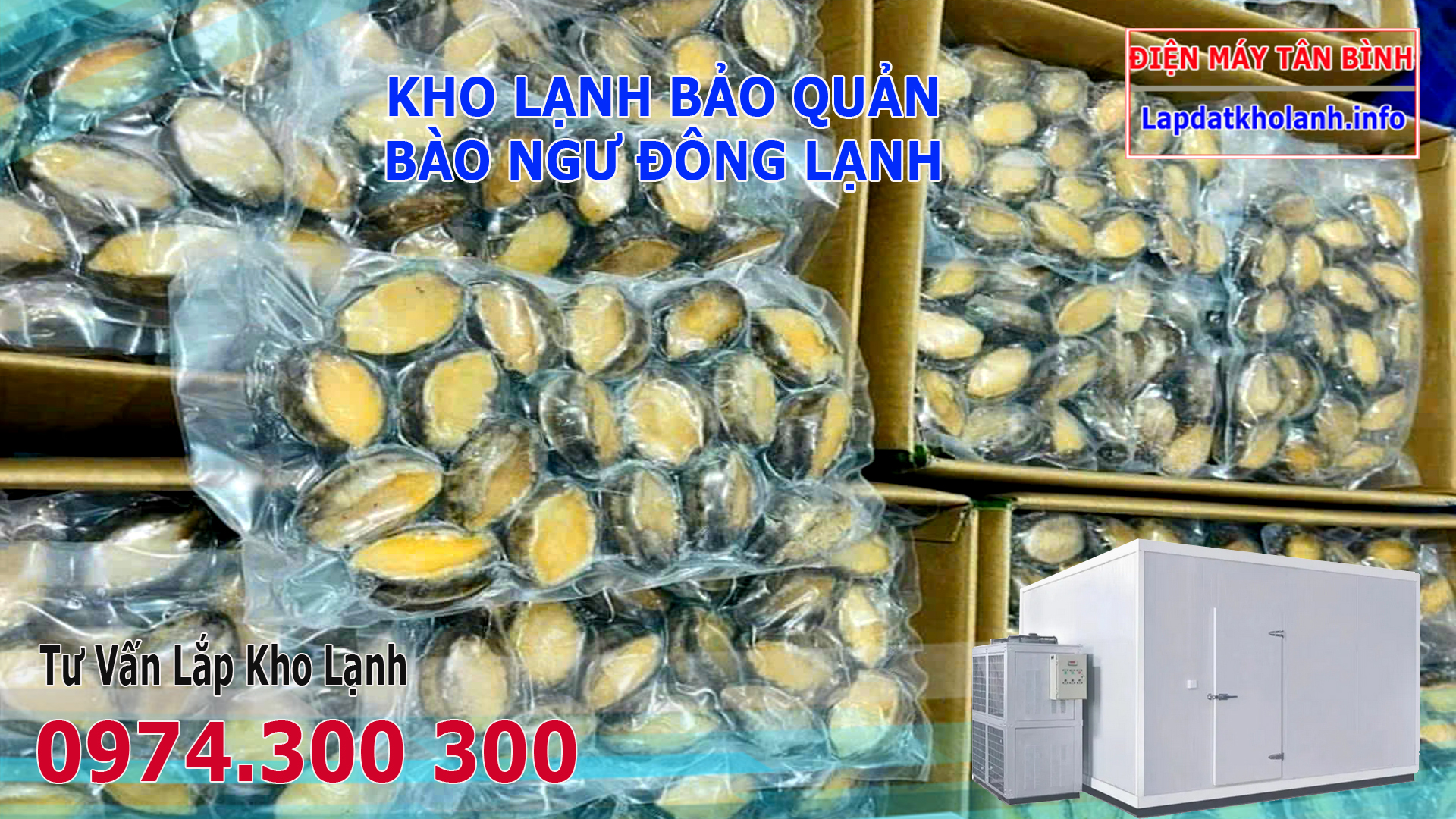 kho lạnh bảo quản bào ngư tươi sống và đông lạnh