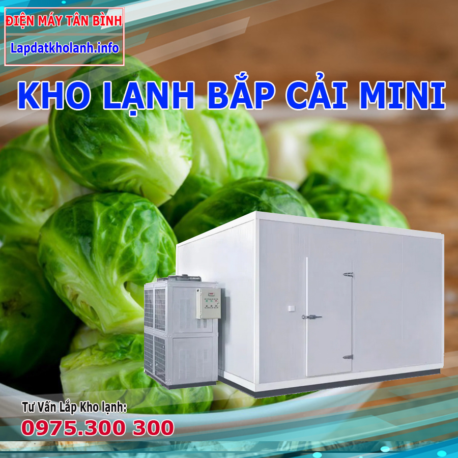 Lắp đặt kho lạnh mini bắp cải