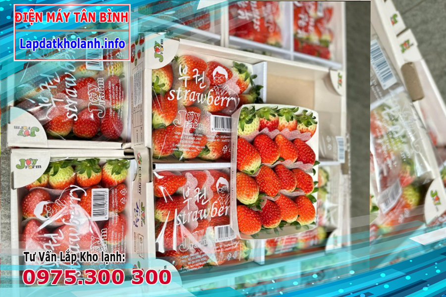 Cách bảo quản dâu tây trong kho lạnh