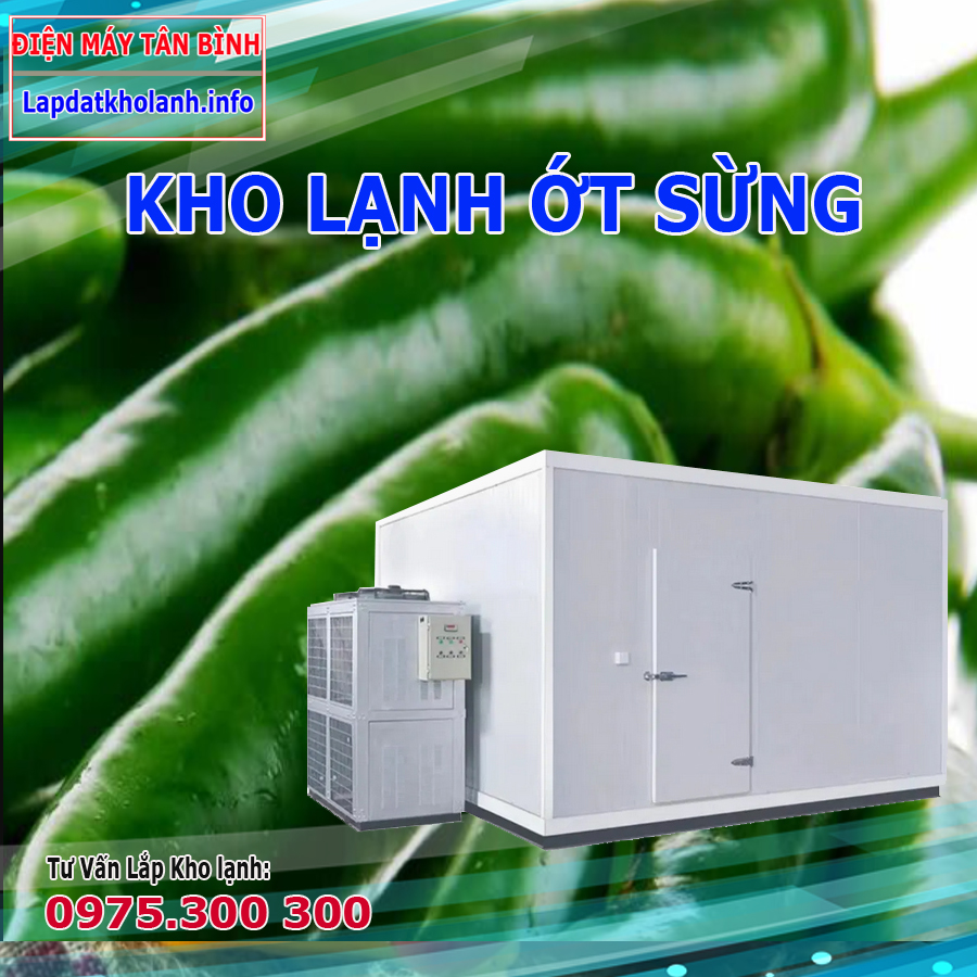 Lắp đặt kho lạnh bảo quản ớt sừng xanh hàn quốc