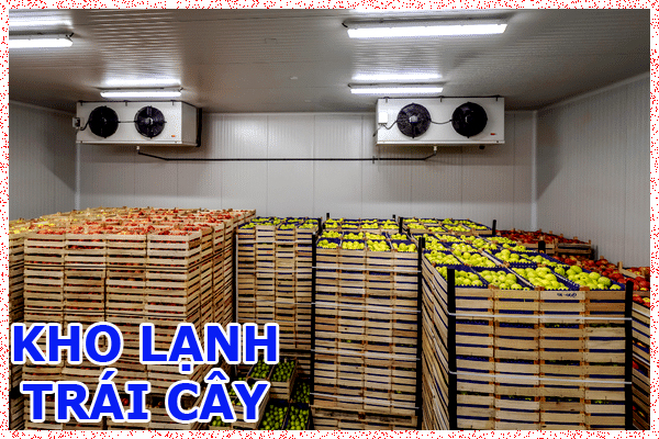 kho lạnh trái cây