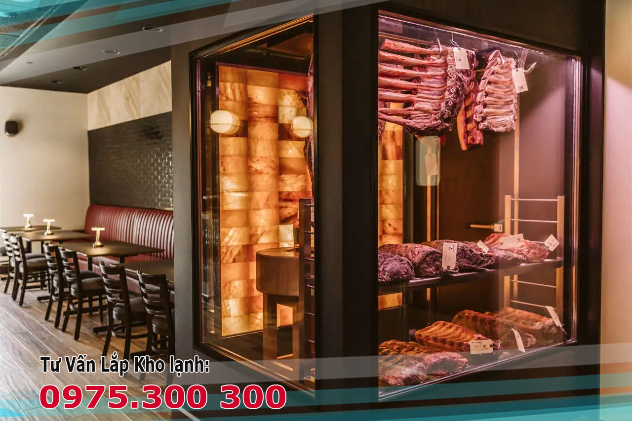 kho lạnh cửa kính Ủ Thịt Dry Aged